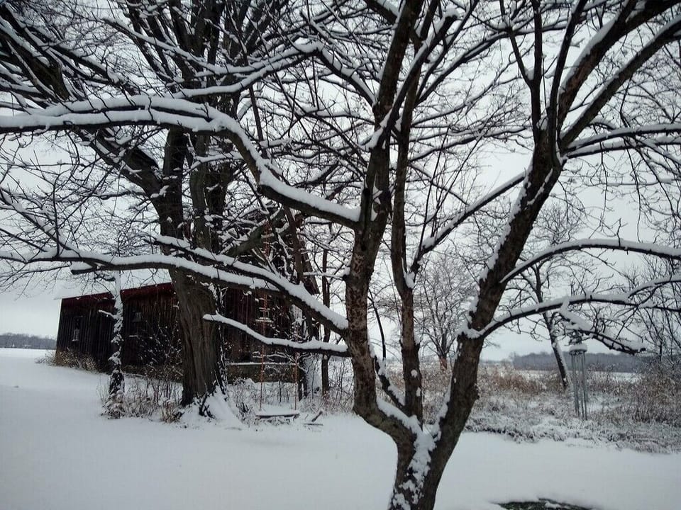 Snowscape