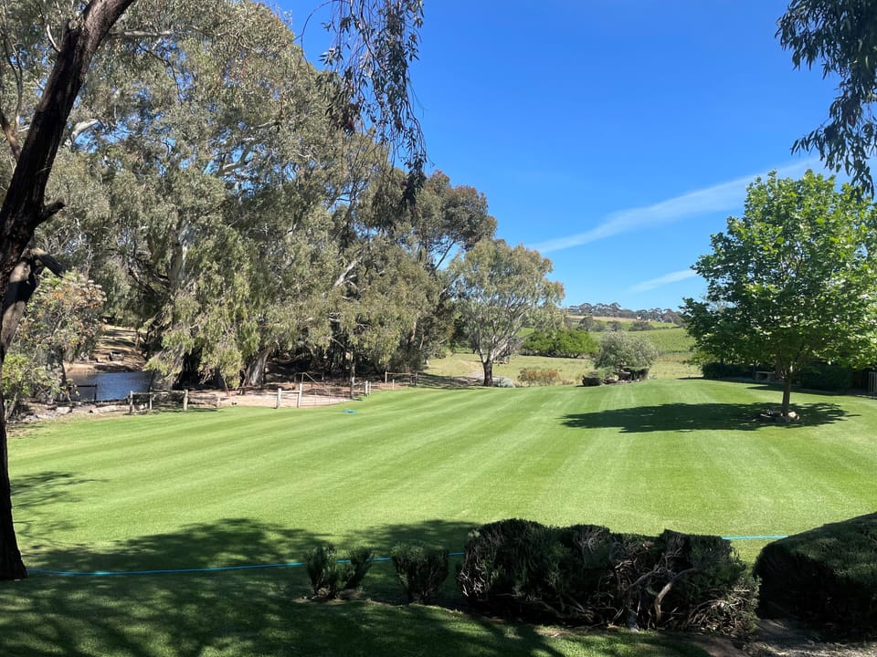 Lawn area