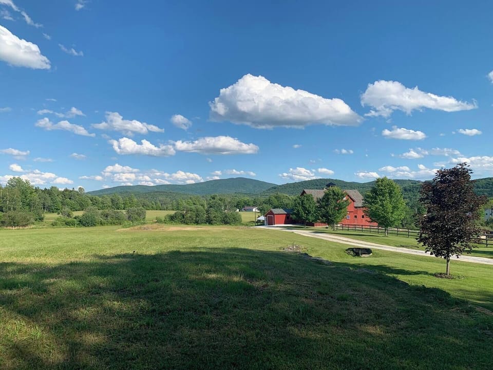 View from neighboring street