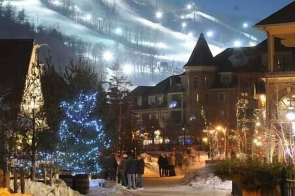 Village (4)