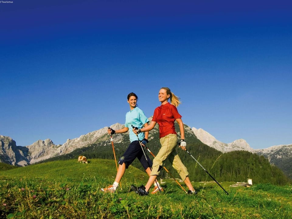 Surroundings [summer] (1-5 km)