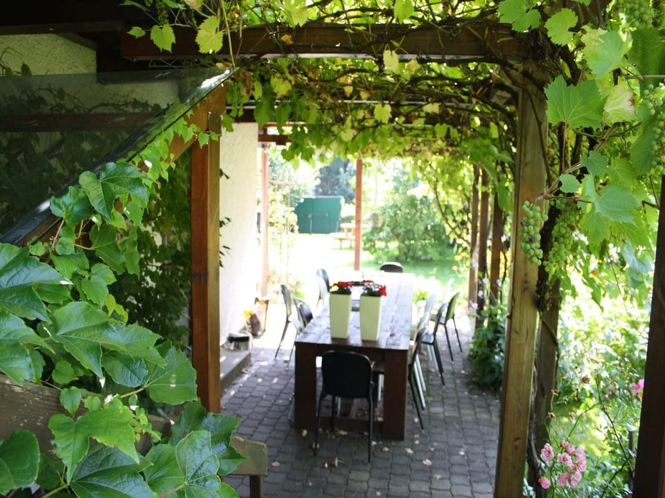 Patio / Balcony