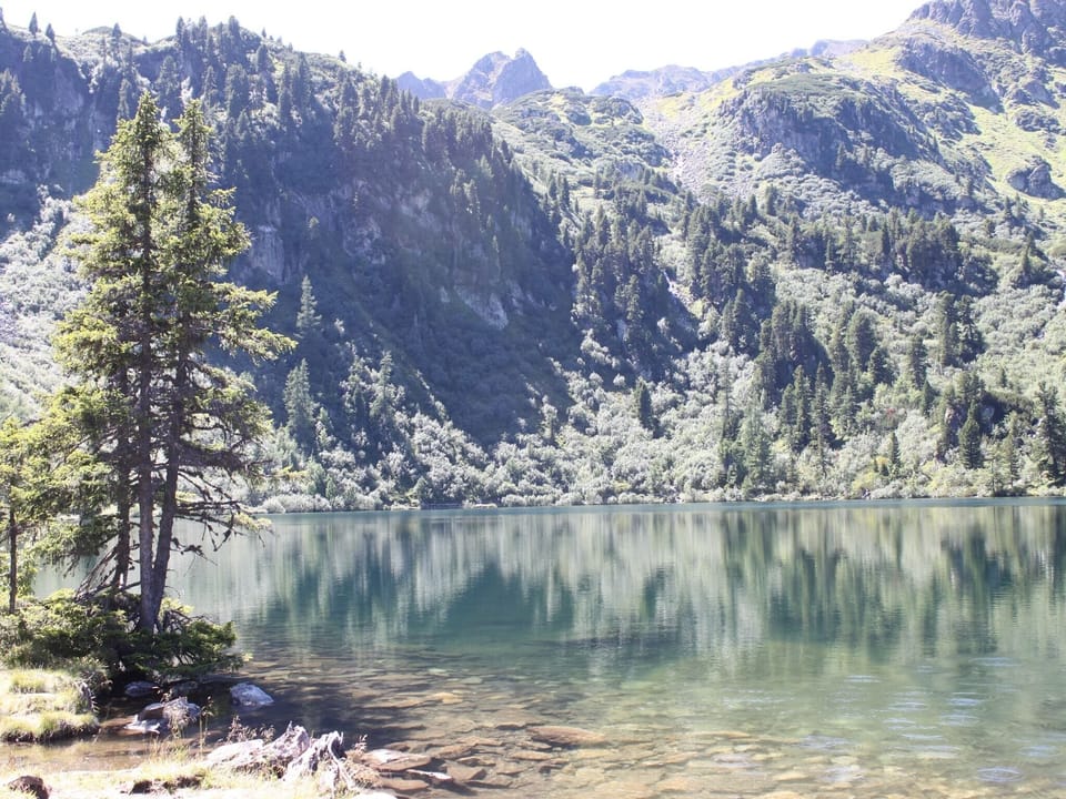 Immediate Surroundings [summer] (<1 km)