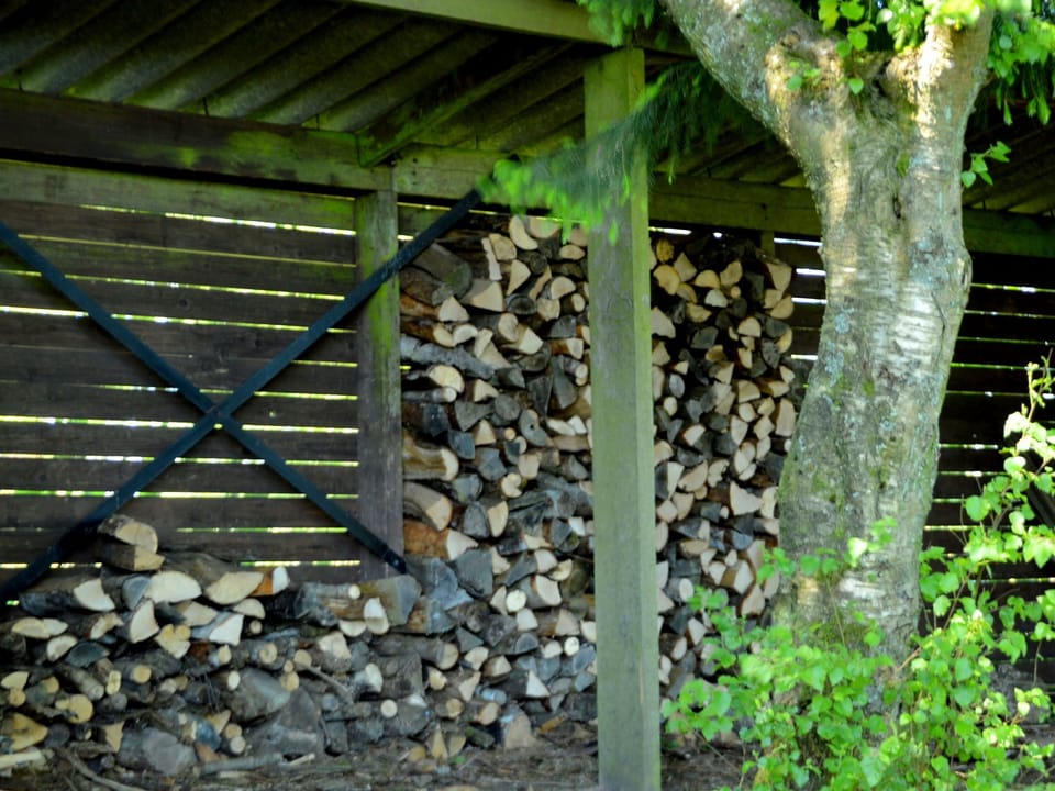Holiday Home Facilities and Services
