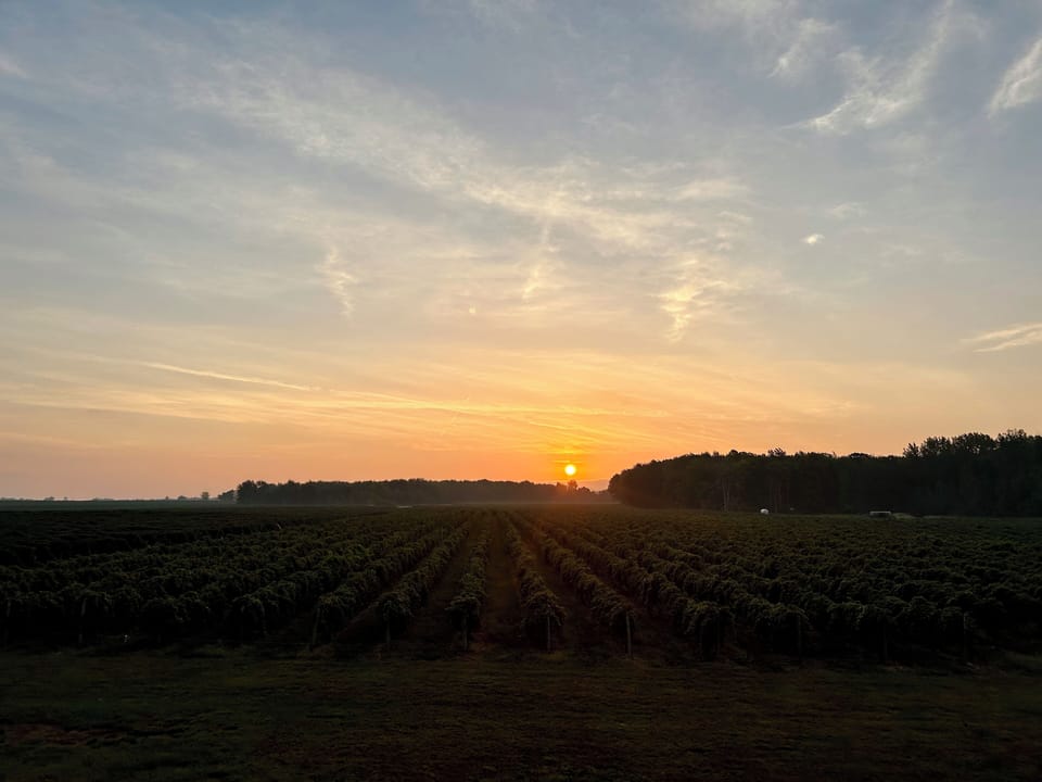Sunrise from the back porch