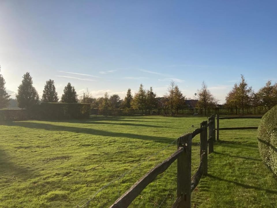 Region [summer] (>5 km)
