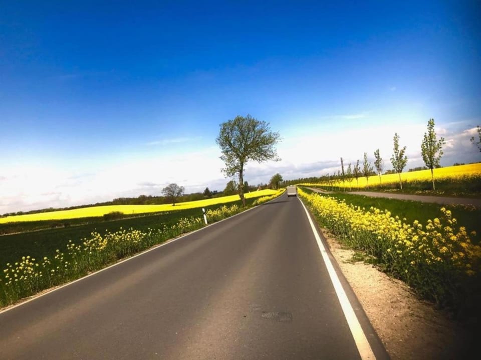 Region [summer] (>5 km)