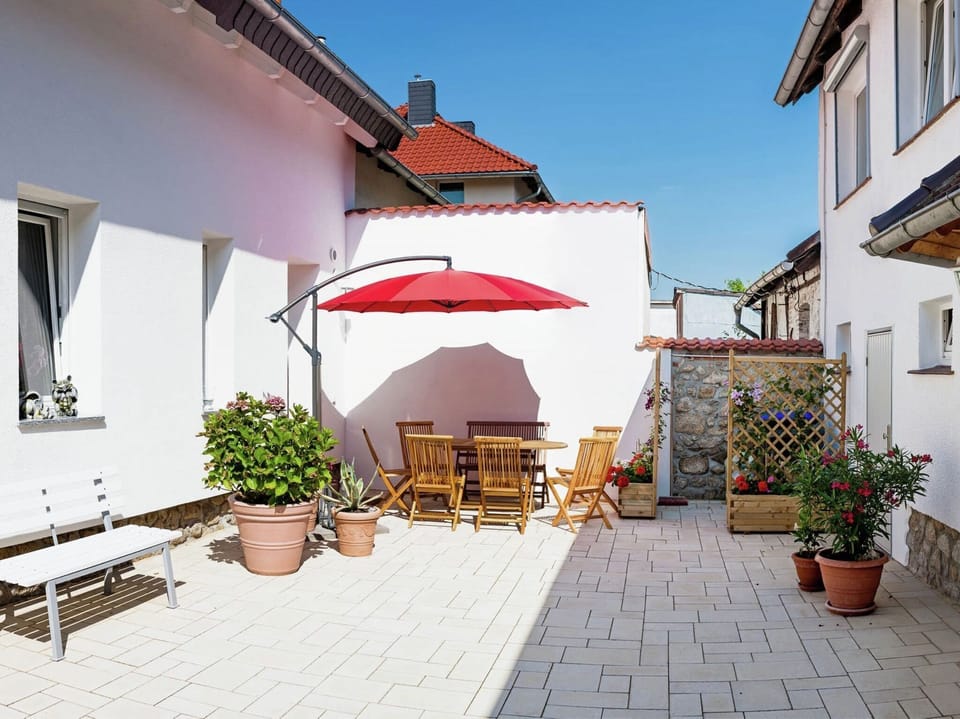 Garden [summer]