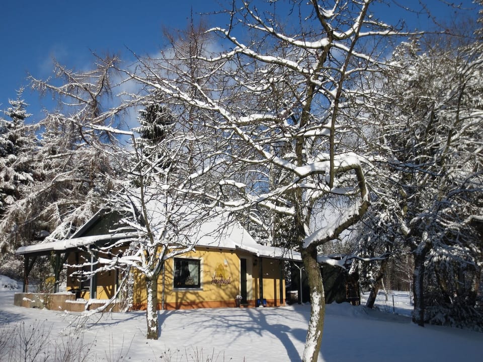 Holiday Home Exterior [winter]