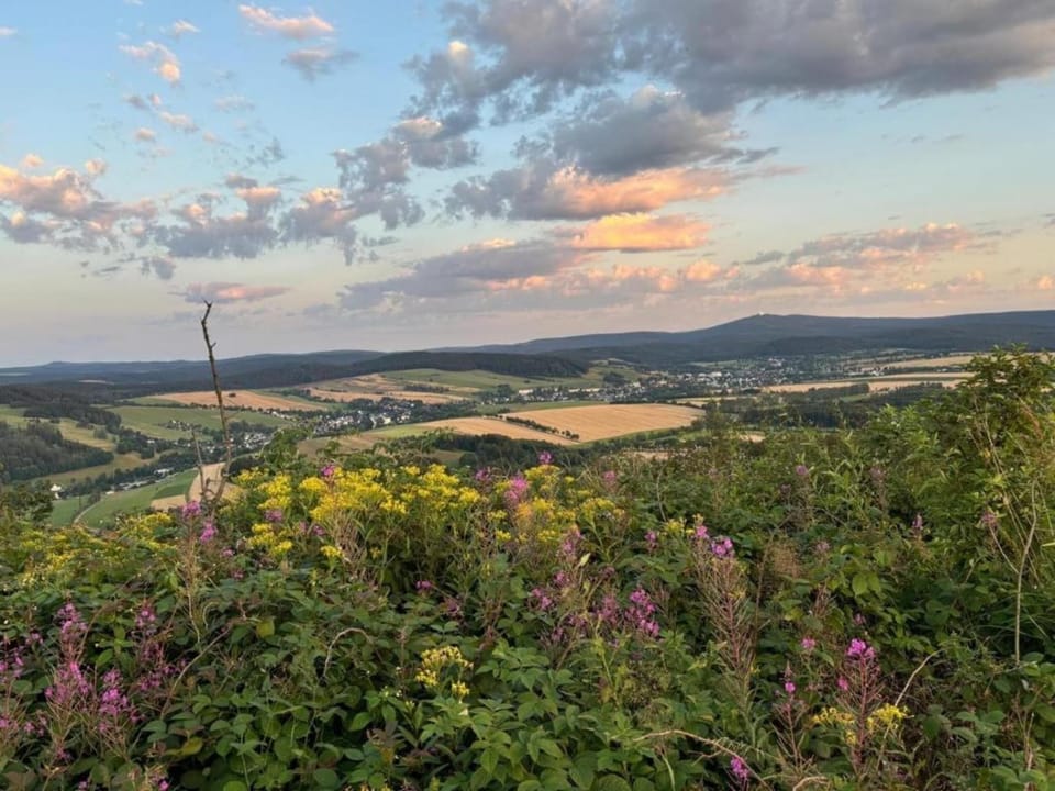Region [summer] (>5 km)