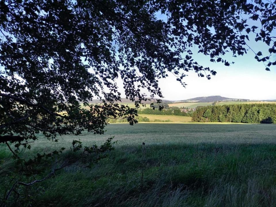 Region [summer] (>5 km)