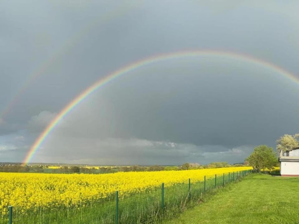 Region [summer] (>5 km)