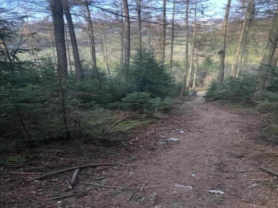 Region [summer] (>5 km)