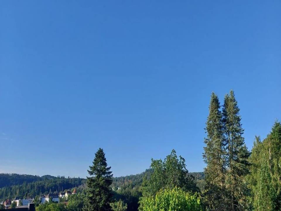 Region [summer] (>5 km)