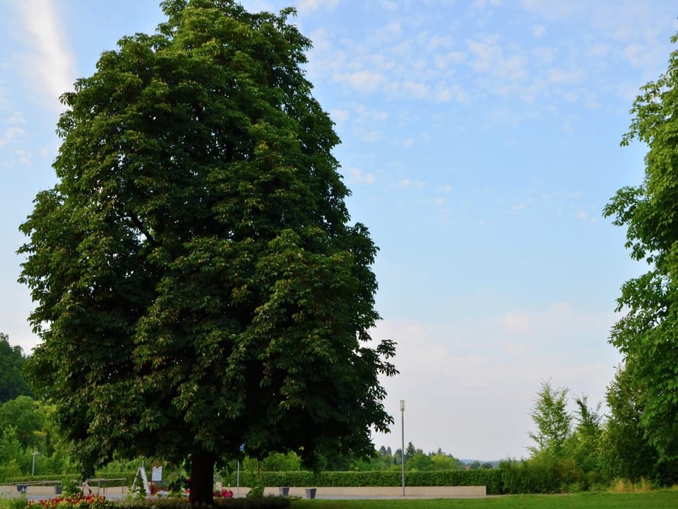 Surroundings [summer] (1-5 km)