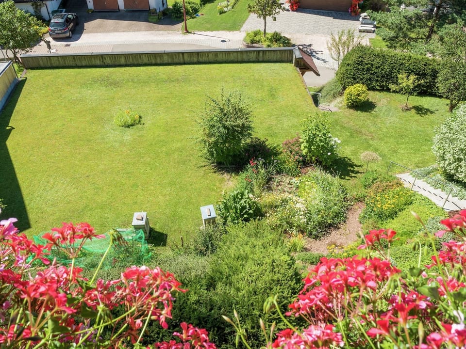 Garden [summer]