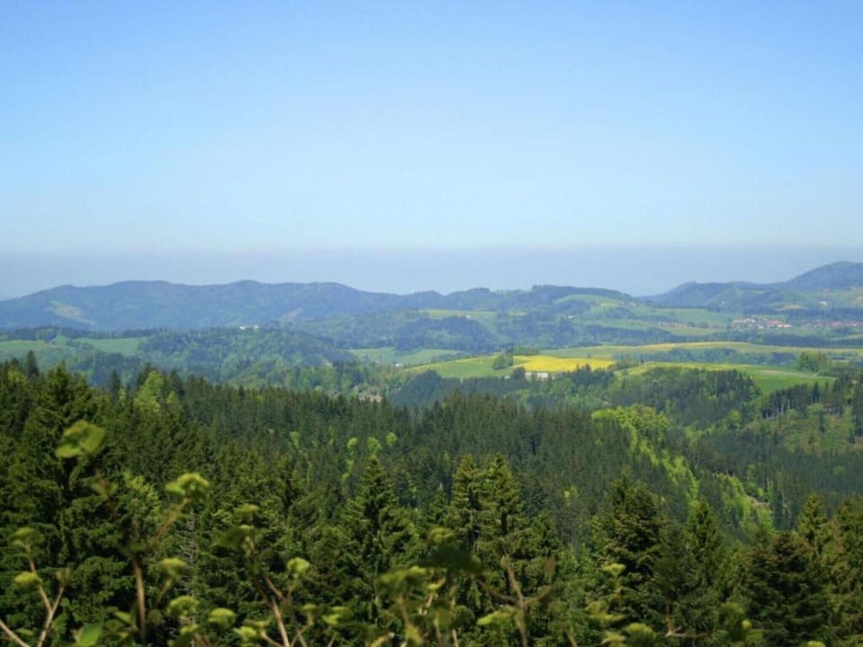 Region [summer] (>5 km)