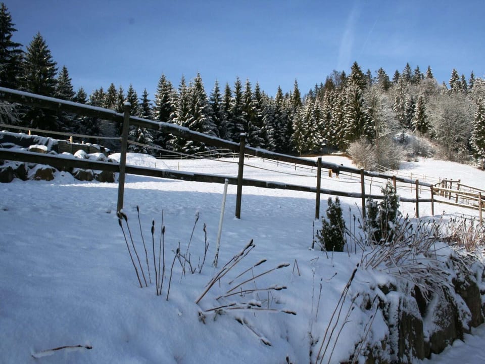 View from Holiday Home [winter]