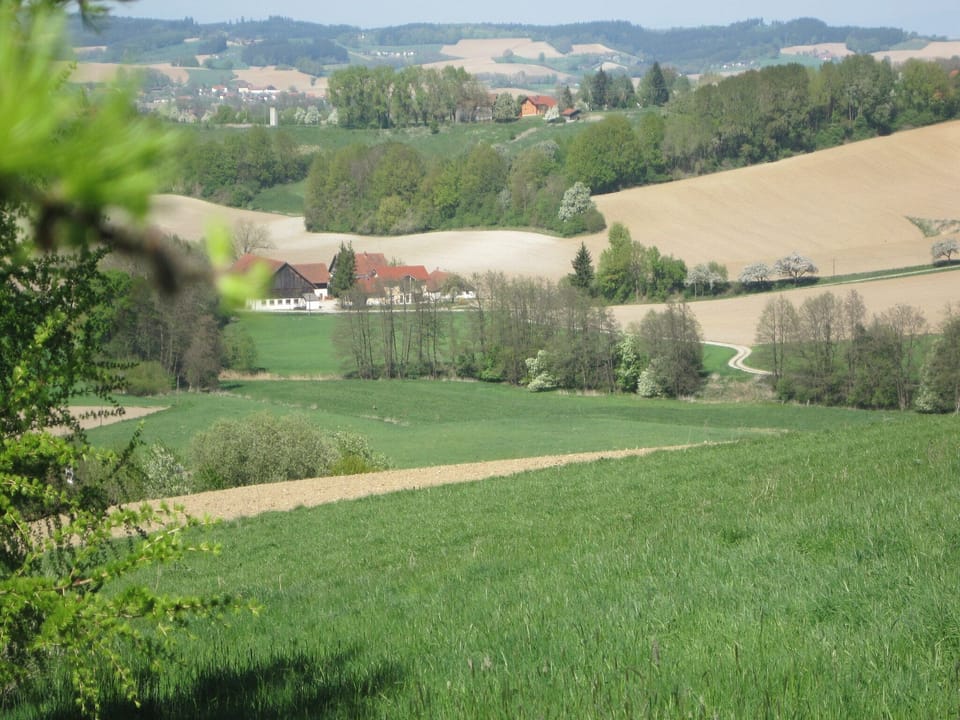 View from Holiday Home [summer]