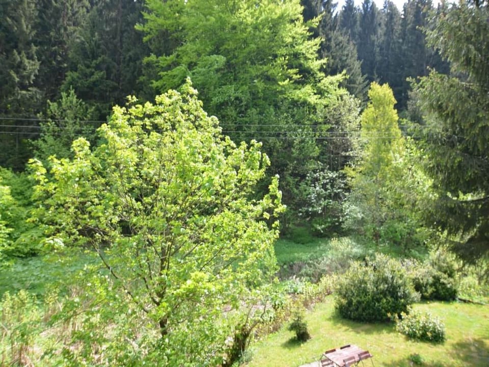 Region [summer] (>5 km)