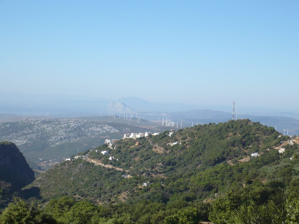 Immediate Surroundings [summer] (<1 km)