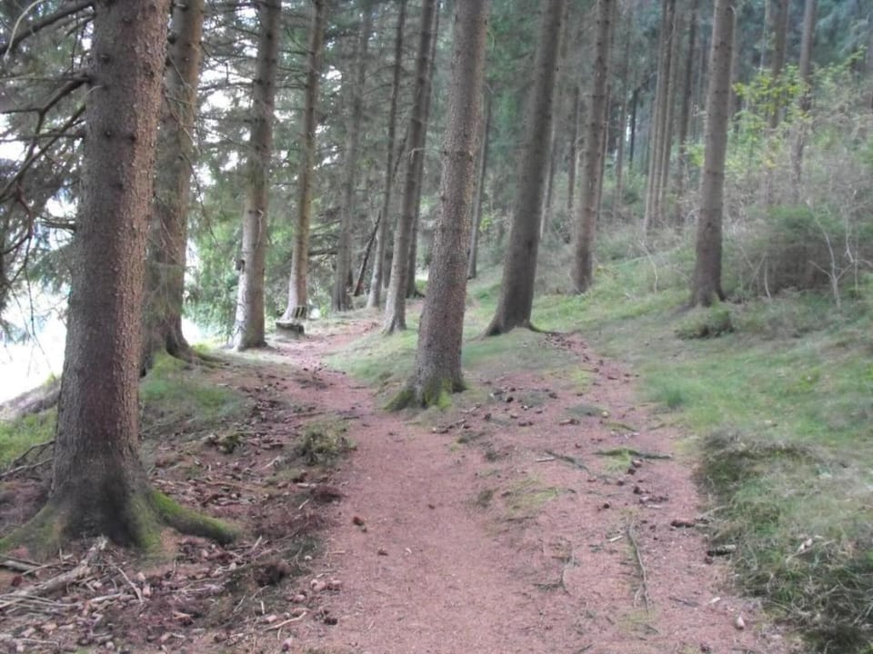 Surroundings [summer] (1-5 km)
