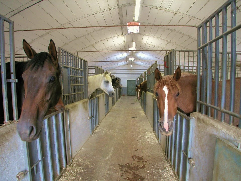 Holiday Park Facilities and Services 