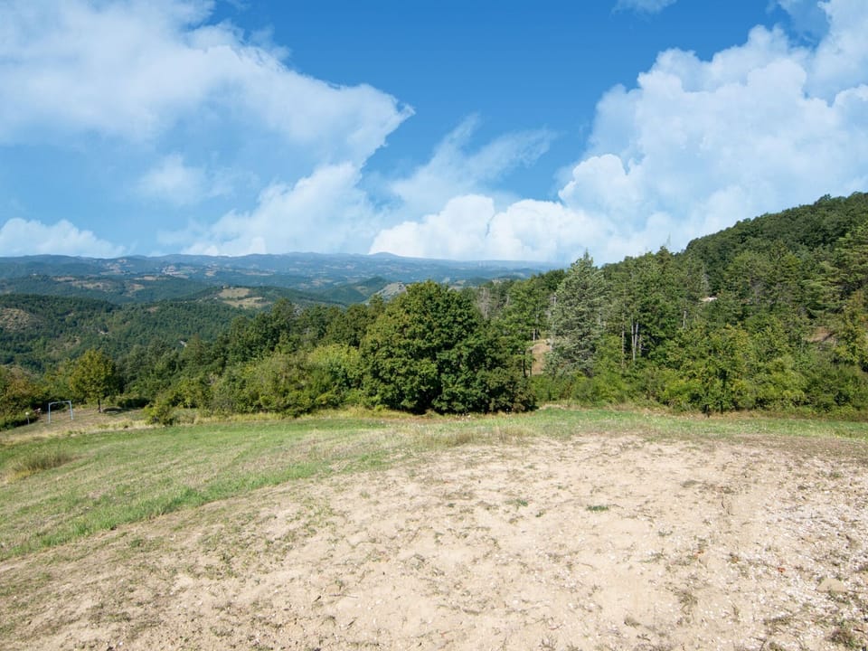 View from Holiday Home [summer]