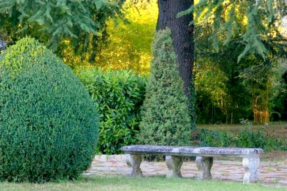 Garden [summer]