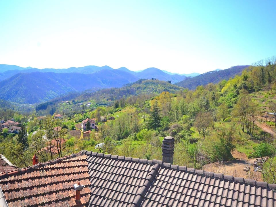 View from Holiday Home [summer]