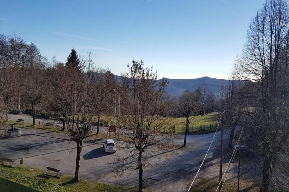 Region [summer] (>5 km)