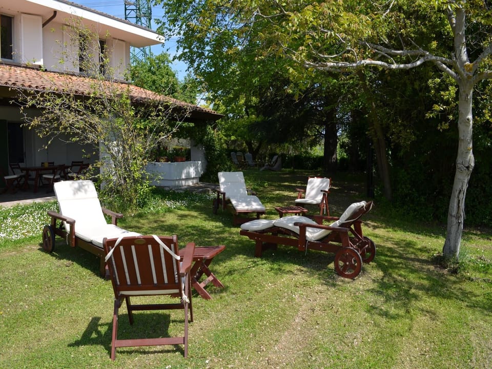Garden [summer]