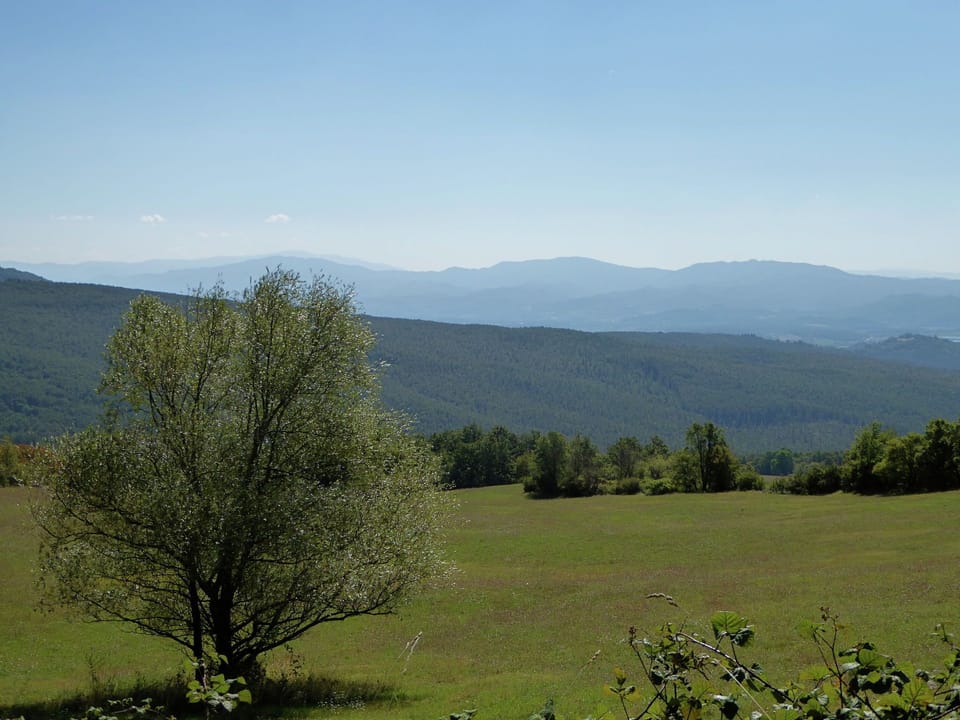Immediate Surroundings [summer] (<1 km)