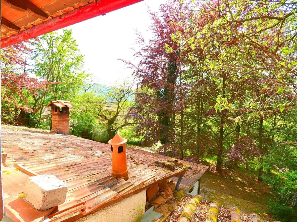 View from Holiday Home [summer]