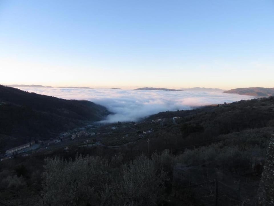 Region [summer] (>5 km)