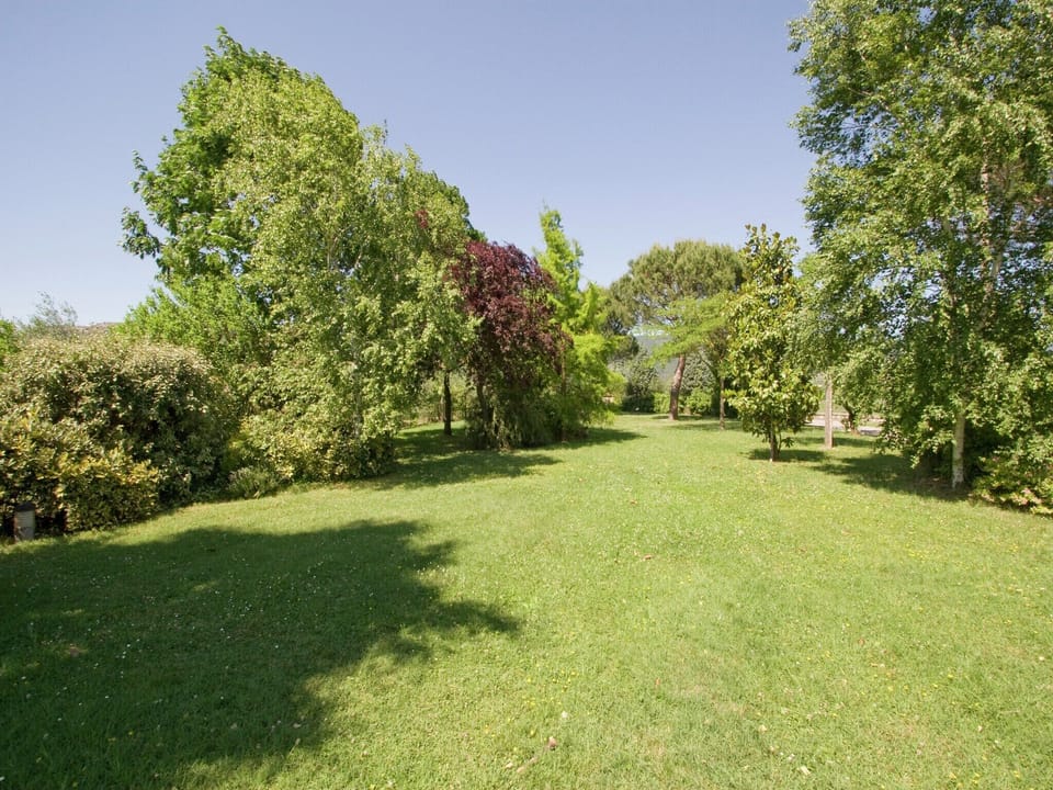 Garden [summer]