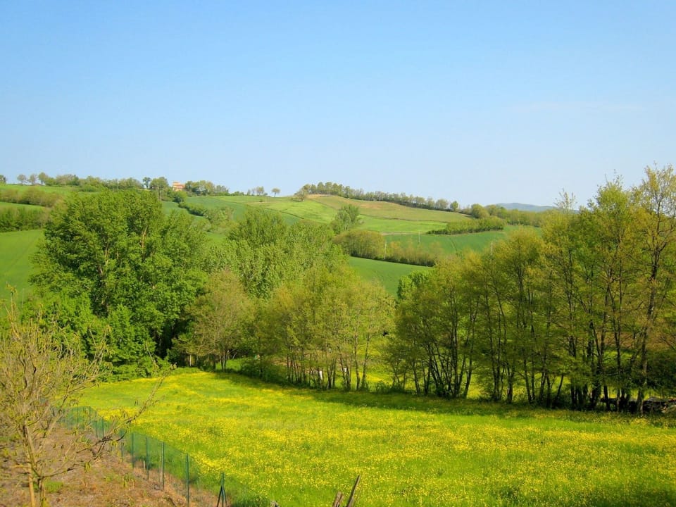 Immediate Surroundings [summer] (<1 km)