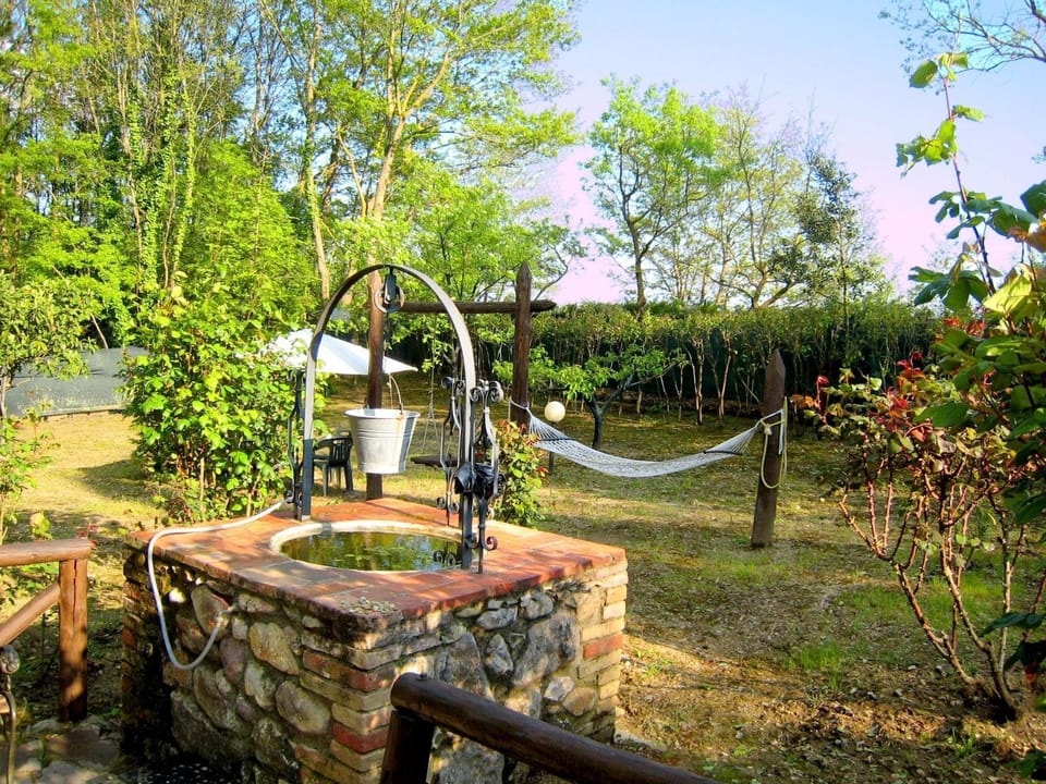 Garden [summer]