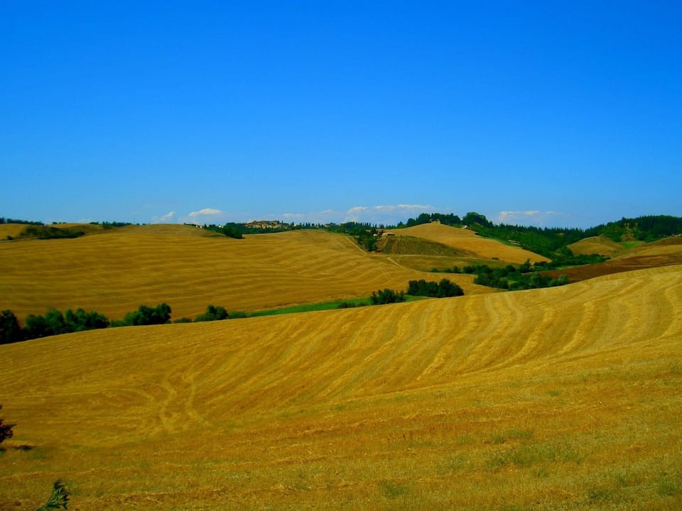 View from Holiday Home [summer]