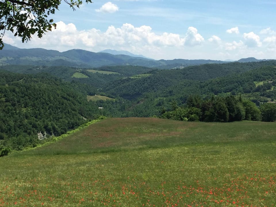 View from Holiday Home [summer]