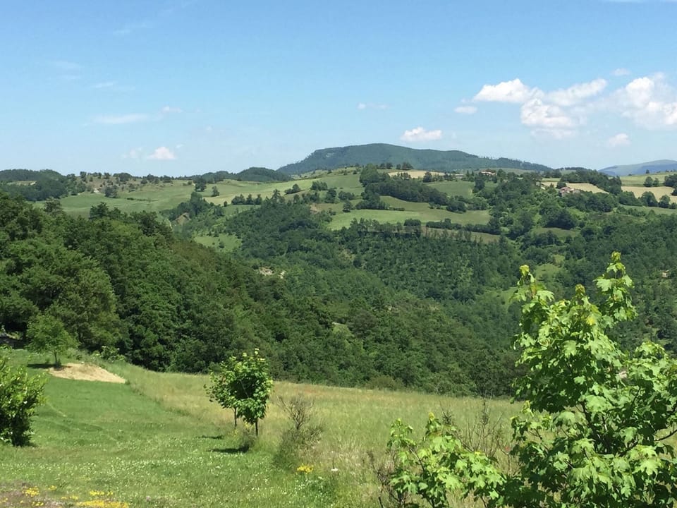 View from Holiday Home [summer]