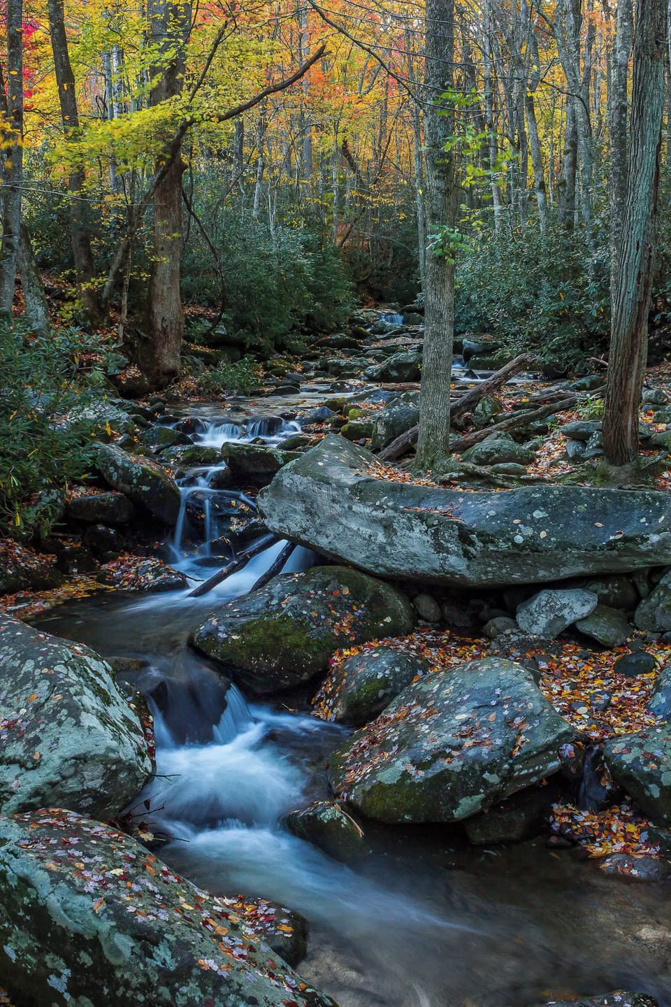 Serene Streamside Retreat: Immerse yourself in nature with stunning fall foliage views!
