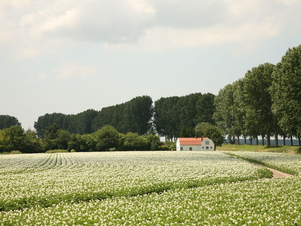 Surroundings [summer] (1-5 km)