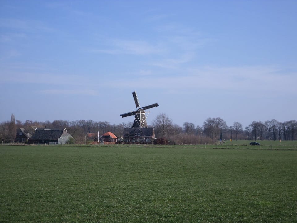 Region [summer] (>5 km)