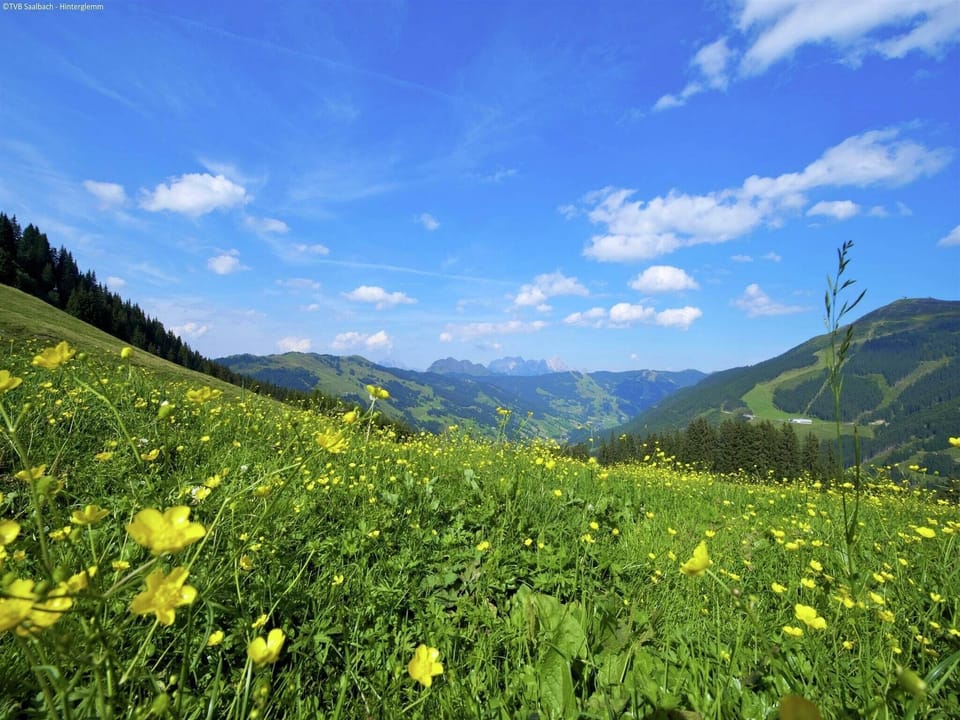 Surroundings [summer] (1-5 km)
