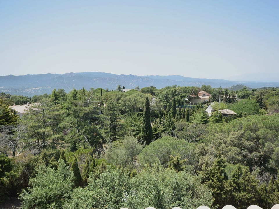 Immediate Surroundings [summer] (<1 km)