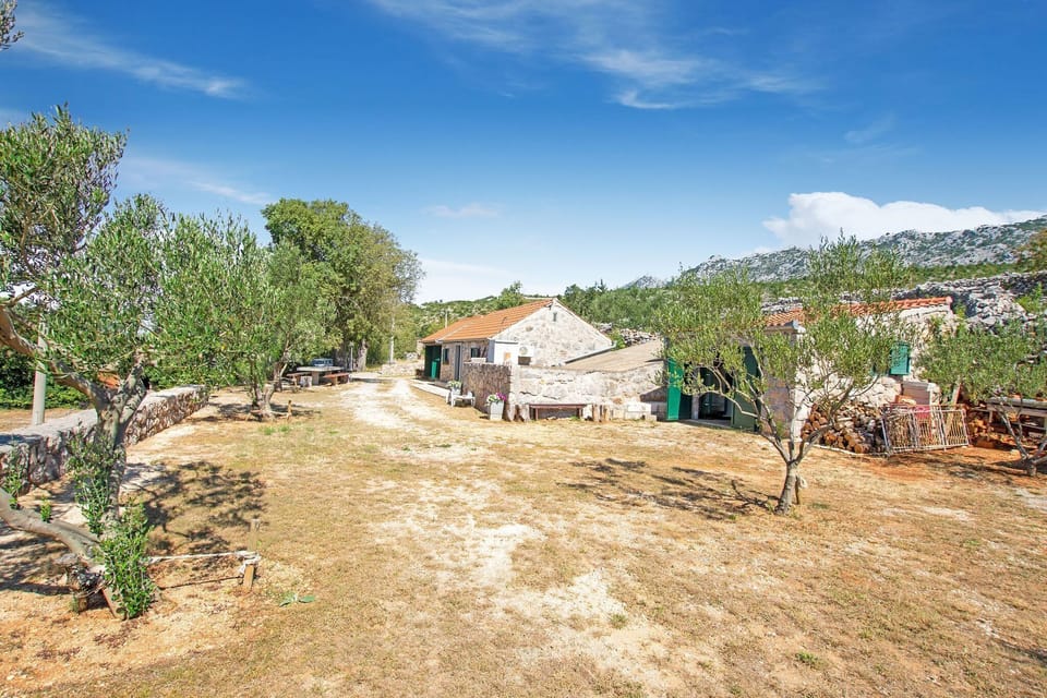 Immediate Surroundings [summer] (<1 km)