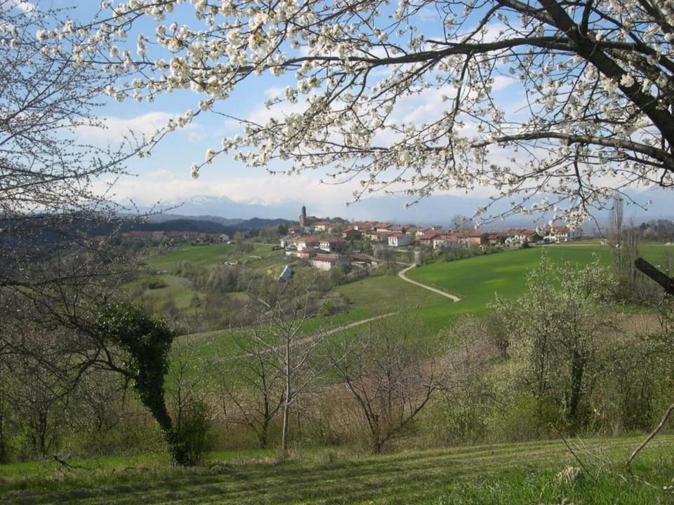 Region [summer] (>5 km)