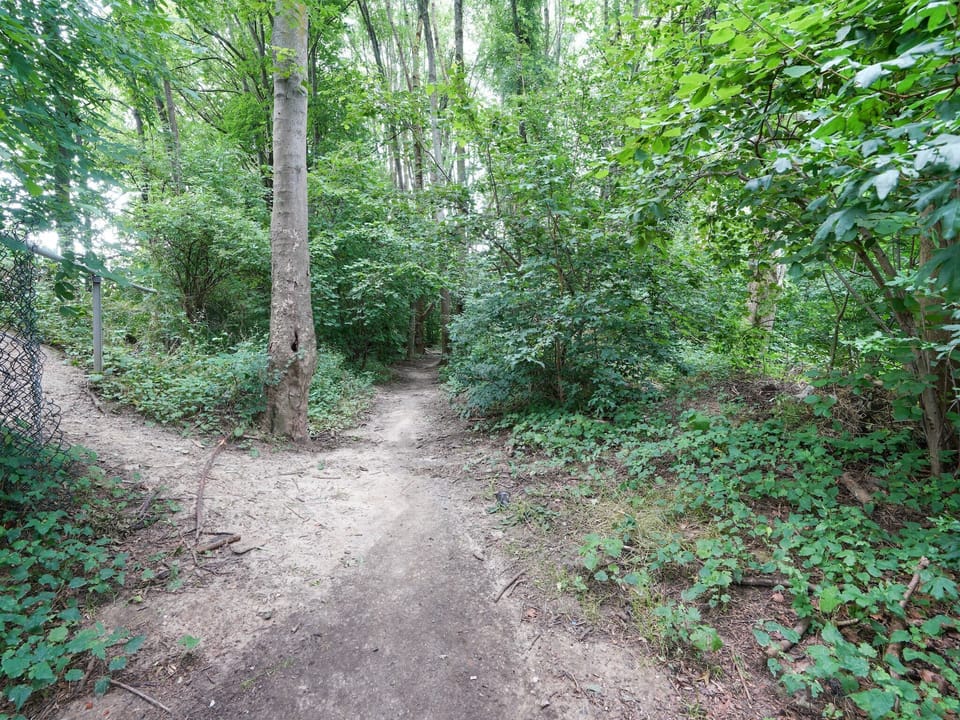 Immediate Surroundings [summer] (<1 km)