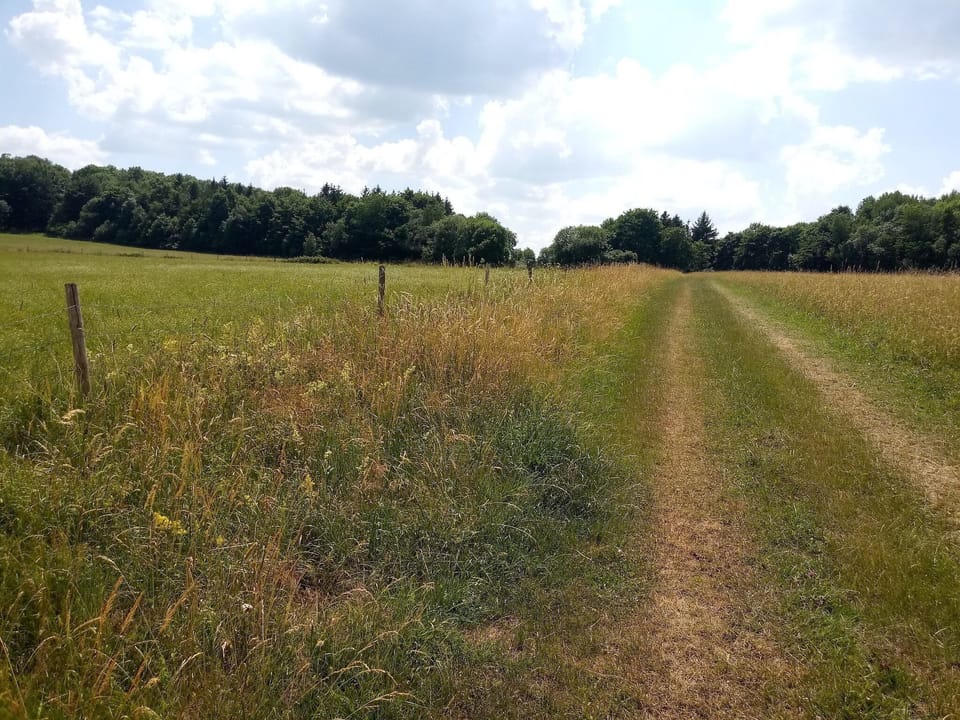 Surroundings [summer] (1-5 km)